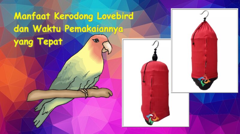 kerodong-lovebird-header
